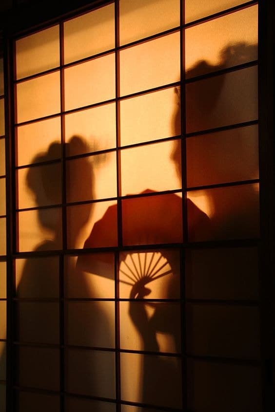 Low sun through a gridded screen, throwing a long shadow across the panel.