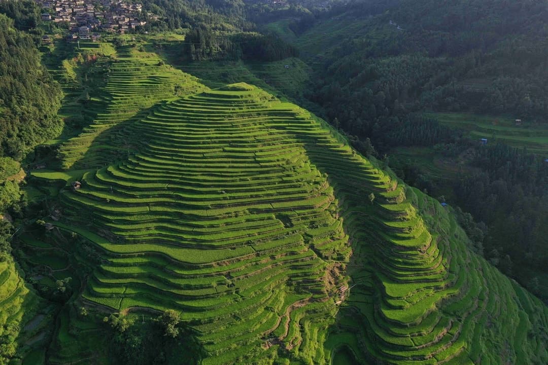 Terraced fields cut in bands across a Guizhou hillside.