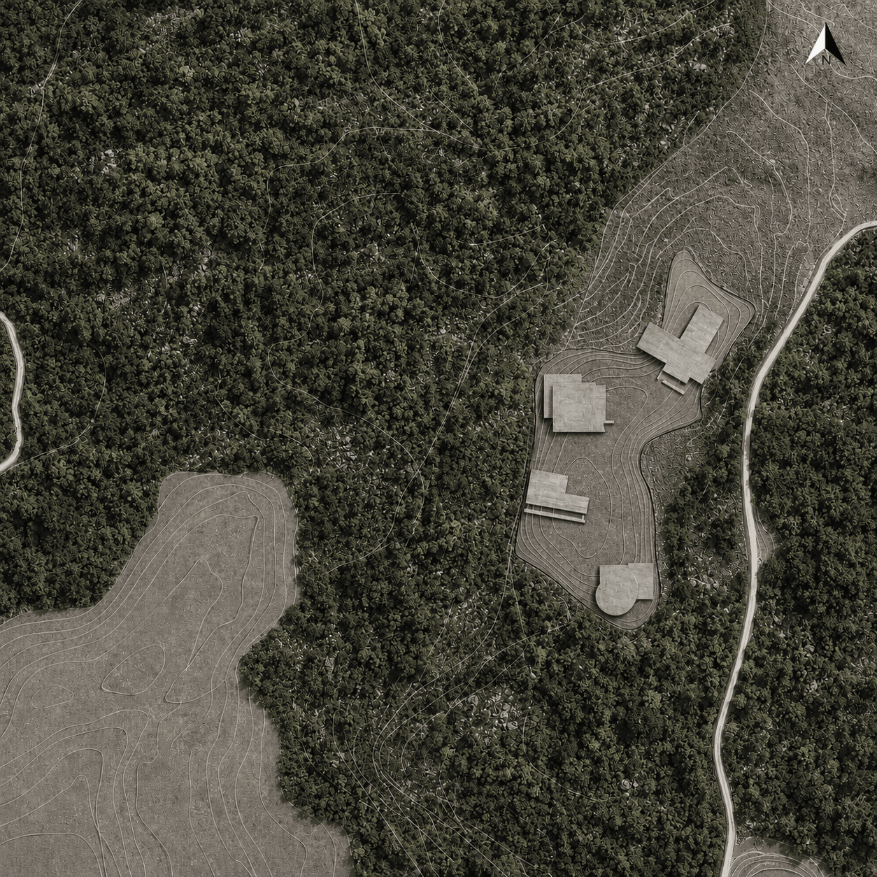 MASS aerial view: the four pavilion rooftops threaded through a wooded, contoured clearing, seen from directly above.